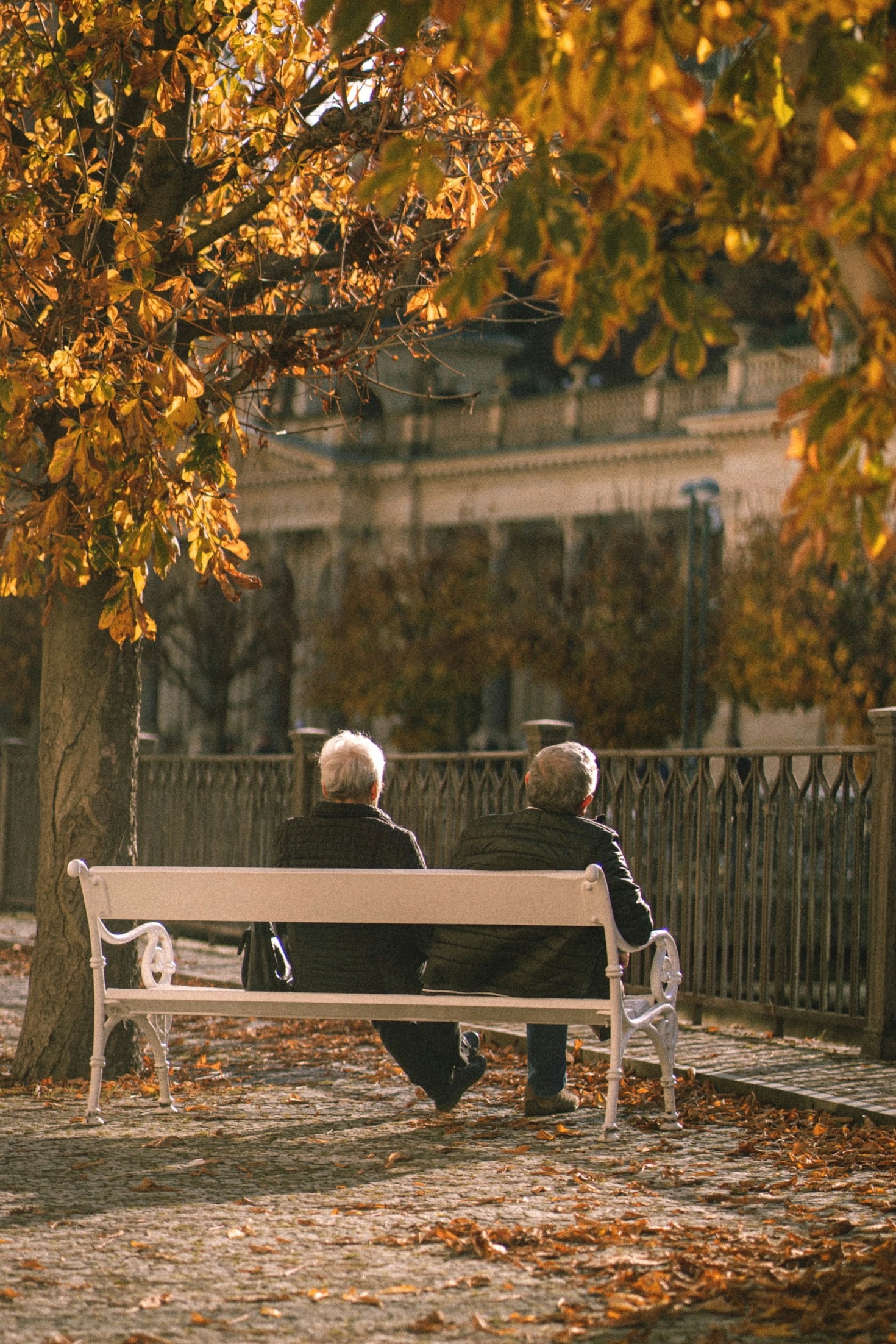 The Importance of Aging in Place: A Guide